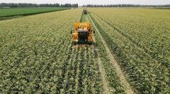 智能农机同样是甘肃农垦金塔农场的秋收“配角